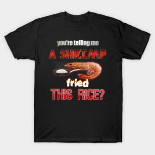 You're Telling Me A Shrimp Fried This Rice? Dad Joke Pun T-Shirt